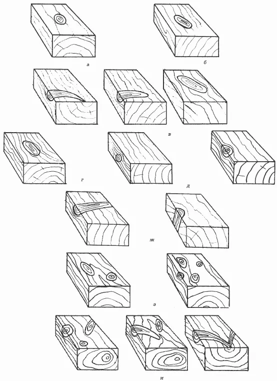 Рис 30 Разновидности сучков а круглый б овальный в продолговатые г - фото 30