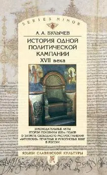 Андрей Булычев - История одной политической кампании XVII в.