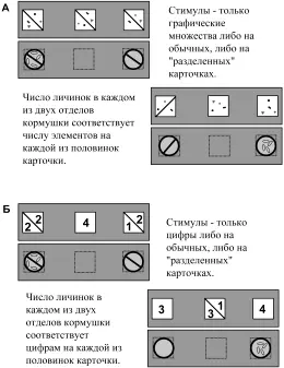 Рис 10 Исследование способности к оперированию символами сложению цифр у - фото 9