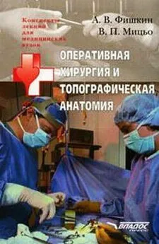 Анатолий Фишкин - Оперативная хирургия и топографическая анатомия: конспект лекций для вузов