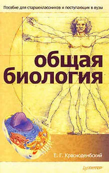 Евгений Краснодембский - Общая биология. Пособие для старшеклассников и поступающих в вузы