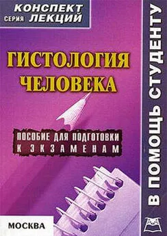 Александр Седов - Гистология человека: конспект лекций для вузов