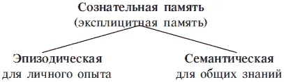 Бессознательная память Большая часть системы памяти находится за пределами - фото 1