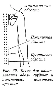 точки от IX до XII грудных позвонков для нормализации функции почек - фото 35