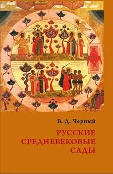 Валентин Черный - Русские средневековые сады: опыт классификации