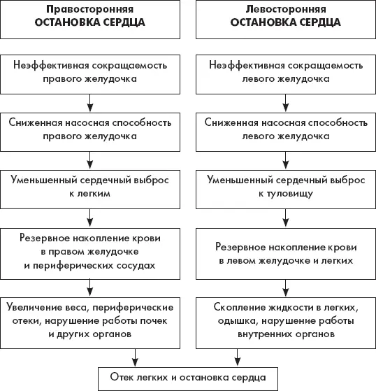 Схема 1 Патофизиология Электрические сигналы сердца прерывистые Сердце - фото 12