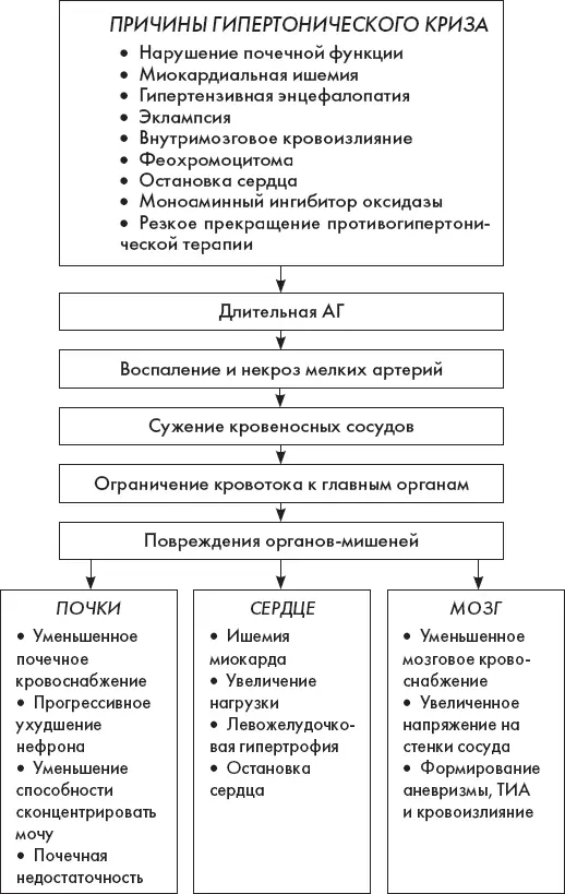 Схема 2 Первичный осмотр Оцените уровень сознания пациента Оцените - фото 13