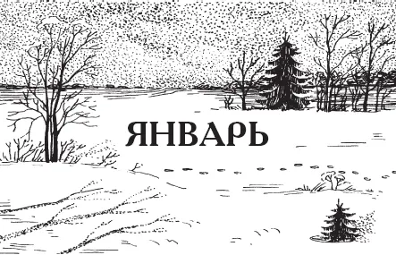 Январь назван в честь римского двуликого божества Януария или Януса бога - фото 1