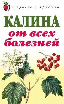 Л. Репейникова - Калина от всех болезней