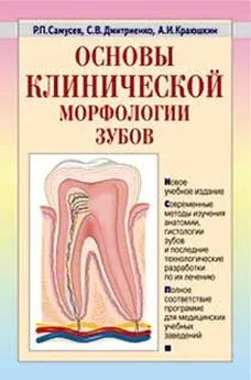 Сергей Дмитриенко - Основы клинической морфологии зубов: учебное пособие