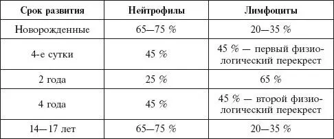 52 кроветворение Кроветворение гемоцитопоэз процесс образования - фото 33