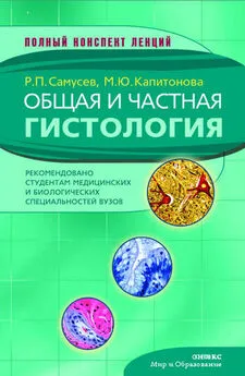 Рудольф Самусев - Общая и частная гистология