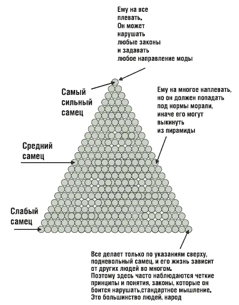 Обратите внимание на организацию какой угодно фирмы Учредитель ее старается - фото 2