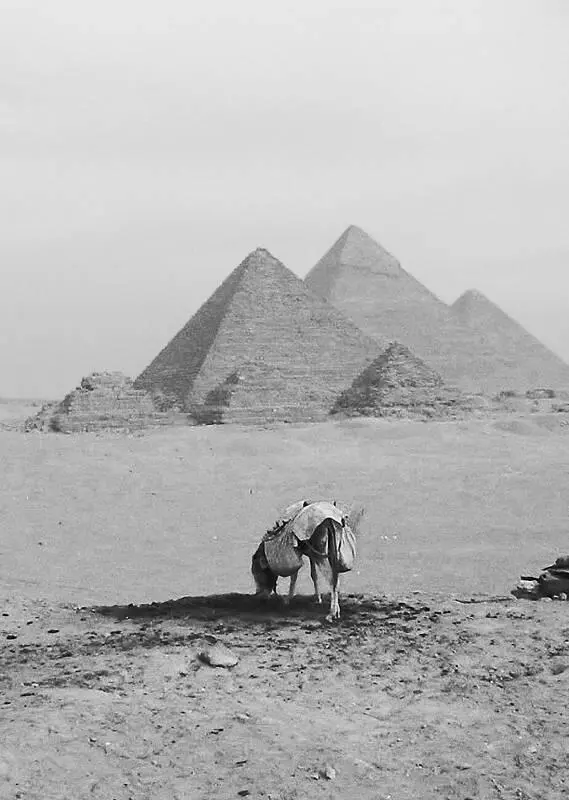 Древние пирамиды в Египте В Египте уже были отшельники Оставив жилые места - фото 4