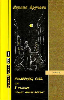 Карина Аручеан - Полководец Соня, или В поисках Земли Обетованной