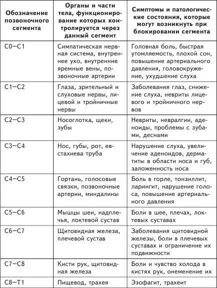 Теперь мой друг когда ты познакомился с устройством позвоночника давай - фото 2