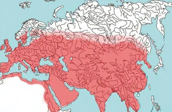Рис Про 23 Пространственный охват металлоносных культур эпохи раннего - фото 77
