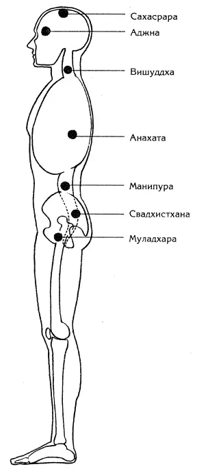 Сахасрара Ад ж на Вишуддха Анахата Манипура Свадхистхана Муладхара Рис 1 Семь - фото 1