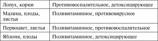 Антибиотики особые вещества микробного растительного и животного - фото 4