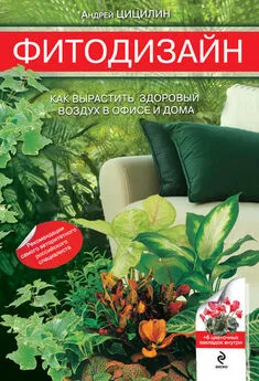 Андрей Цицилин - Фитодизайн. Как вырастить здоровый воздух в офисе и дома
