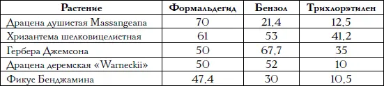 В закрытой комнате камере с филодендроном копьевидным был обнаружен - фото 8
