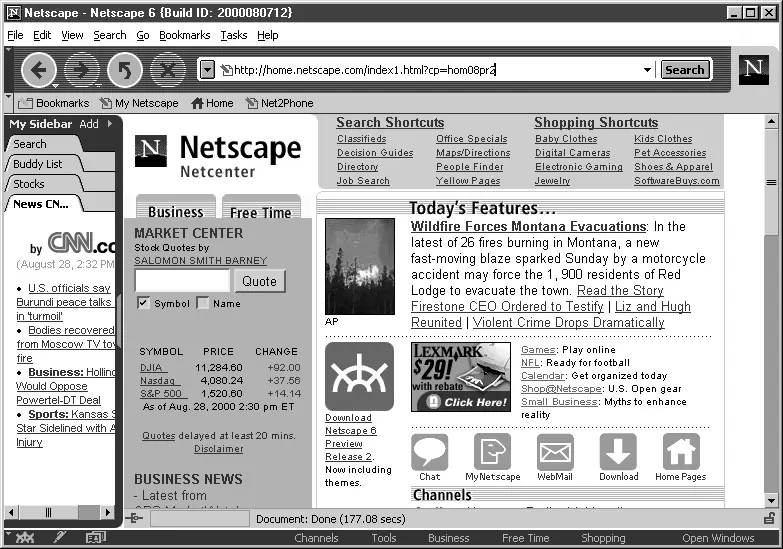 Рис 15 Окно обозревателя Netscape Navigator 6 Если говорить о технических - фото 5