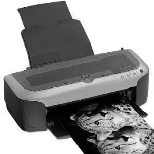 Рис 219 Струйный принтер Epson Stylus Photo 2100 Лазерные и светодиодные - фото 37