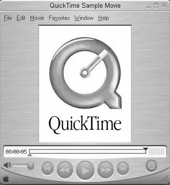 Рис 19 Интерфейс программы Примечание Программа и кодеки QuickTime - фото 10