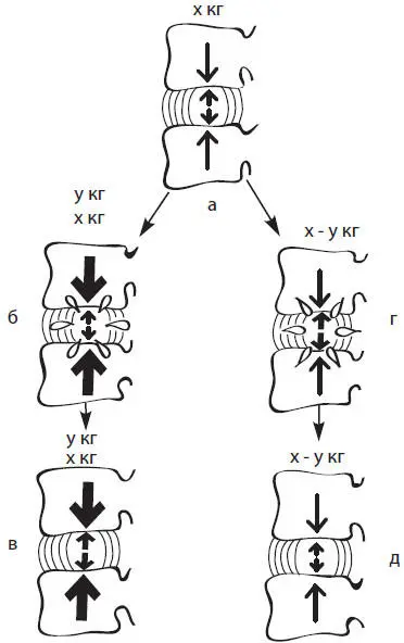 Рис 5Механизм гидратации пульпозного ядра В условиях нормы сила всасывания - фото 5
