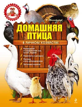 Татьяна Михайлова - Домашняя птица в личном хозяйстве