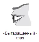 ХарактерЭто человек раздражительный и вспыльчивый но по жизни добрейшей - фото 28
