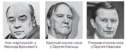 Знак сообразительности Если кончик носа полный круглый и прикрывает собой - фото 44