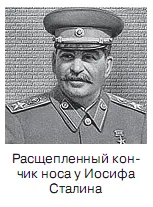 Знак нищеты Если спинка носа слегка приплюснута расширяется посередине и - фото 46