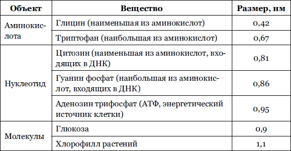Вирусы это уникальное природное произведение нанобиотехнологий Сердцевина - фото 15
