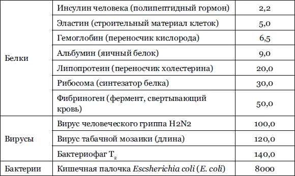 Вирусы это уникальное природное произведение нанобиотехнологий Сердцевина - фото 16
