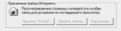 Рис 249Группа параметров Временные файлы Интернета Чтобы вновь открыть - фото 54