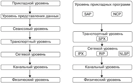 Рис 32 Распределение протоколов стека IPXSPX по уровням модели ISOOSI Ниже - фото 6