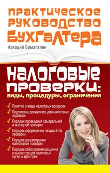 Аркадий Брызгалин - Налоговые проверки: виды, процедуры, ограничения