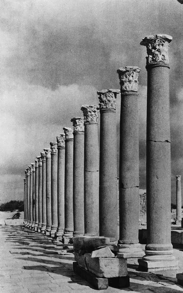 Колоннада форума в Великом Лептисе Начало III в В эпоху римского владычества - фото 18