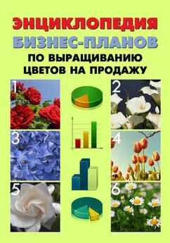 А. Бруйло - Энциклопедия бизнес-планов по выращиванию цветов на продажу