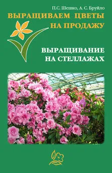 А. Бруйло - Выращиваем цветы на продажу. Выращивание на стеллажах