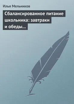 Илья Мельников - Сбалансированное питание школьника: завтраки и обеды «с собой»