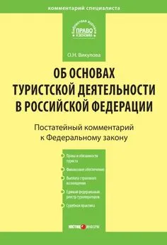 Олеся Викулова - Комментарий к Федеральному закону «Об основах туристской деятельности в Российской Федерации»