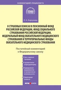 Ольга Борзунова - Комментарий к Федеральному закону «О страховых взносах в Пенсионный фонд РФ, Фонд социального страхования РФ, Федеральный фонд обязательного медицинского страхования и территориальные фонды обязательного медицинского страхования»