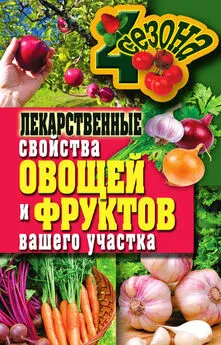 Ирина Зайцева - Лекарственные свойства овощей и фруктов вашего участка