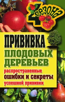 Галина Серикова - Прививка плодовых деревьев: распространенные ошибки и секреты успешной прививки