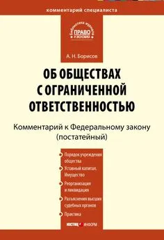 Александр Борисов - Комментарий к Федеральному закону «Об обществах с ограниченной ответственностью» (постатейный)