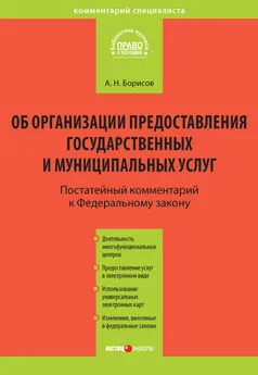 Александр Борисов - Комментарий к Федеральному закону от 27 июля 2010 г. №210-ФЗ «Об организации предоставления государственных и муниципальных услуг» (постатейный)