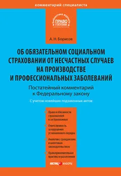 Александр Борисов - Комментарий к Федеральному закону от 24 июля 1998 г. №125-ФЗ «Об обязательном социальном страховании от несчастных случаев на производстве и профессиональных заболеваний» (постатейный)