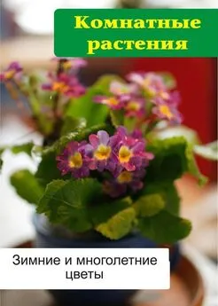 Илья Мельников - Комнатные растения. Зимние и многолетние цветы